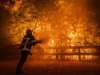 Incendios forestales y calor extremo golpean varios países de Europa