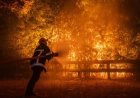 Incendios forestales y calor extremo golpean varios países de Europa