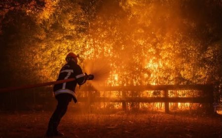 Incendios forestales y calor extremo golpean varios países de Europa