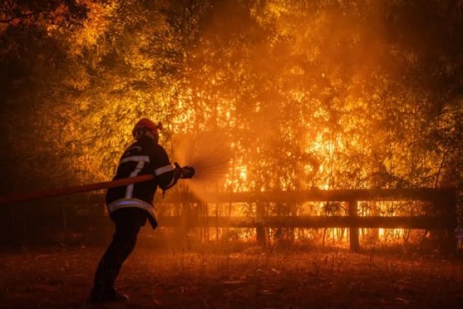 Incendios forestales y calor extremo golpean varios países de Europa