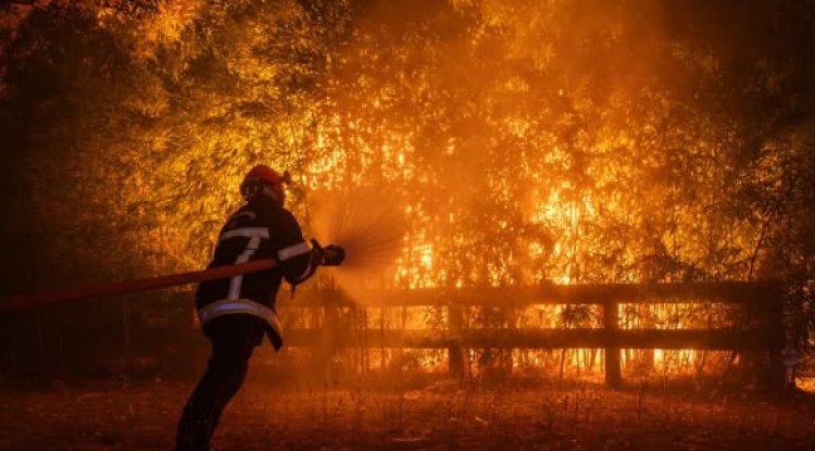 Incendios forestales y calor extremo golpean varios países de Europa