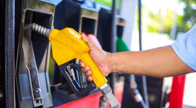 Los precios de los combustibles no variarán la próxima quincena