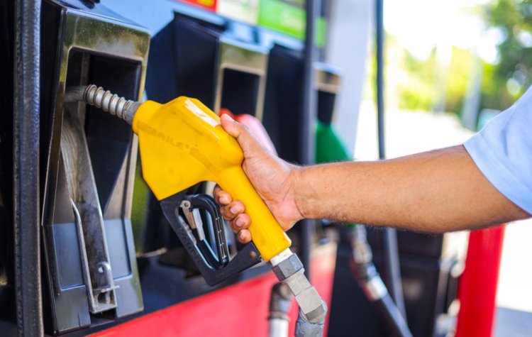 Los precios de los combustibles no variarán la próxima quincena
