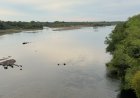 Bajo caudal del río Lempa afecta cultivos y pesca por la falta de lluvias