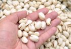 Pistachos podrían ayudar a reducir la presión arterial, según estudios