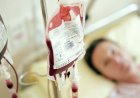 Testigos de Jehová cambian su postura sobre los principales componentes de la sangre