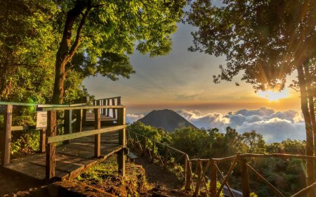 Buses Alegres prepara viajes a volcanes, playas y cascadas durante septiembre