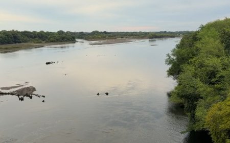 Bajo caudal del río Lempa afecta cultivos y pesca por la falta de lluvias