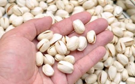 Pistachos podrían ayudar a reducir la presión arterial, según estudios