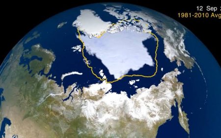 Hielo marino del Ártico registra su décimo mínimo más bajo desde que hay mediciones satelitales