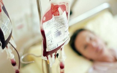 Testigos de Jehová cambian su postura sobre los principales componentes de la sangre
