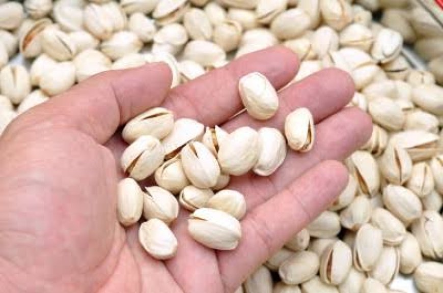 Pistachos podrían ayudar a reducir la presión arterial, según estudios