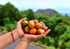5 destinos para disfrutar este fin de semana en El Salvador