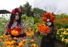 5 actividades para disfrutar en familia este fin de semana en El Salvador