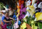 Comerciantes  ofrecen flores para el Día de los Difuntos