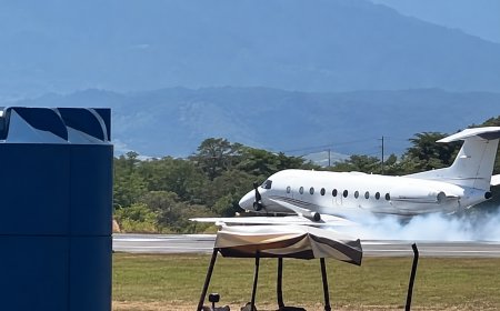 Avión aterriza de emergencia tras chocar con una cebra en Tanzania