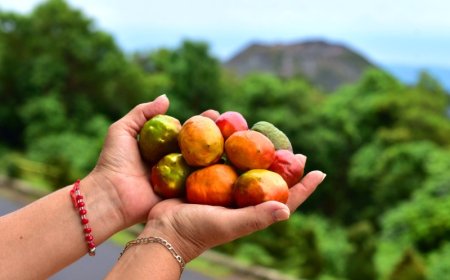 5 destinos para disfrutar este fin de semana en El Salvador