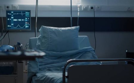 Francia reporta el primer caso humano del virus Shamonda