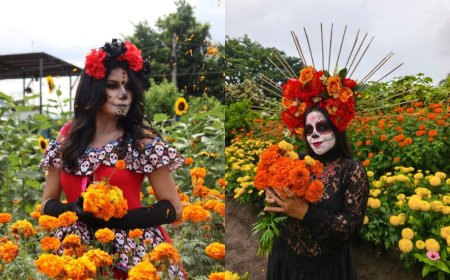 5 actividades para disfrutar en familia este fin de semana en El Salvador