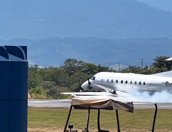 Avión aterriza de emergencia tras chocar con una cebra en Tanzania