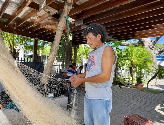 Veda de camarón reduce ingresos de pescadores y comerciantes buscan alternativas