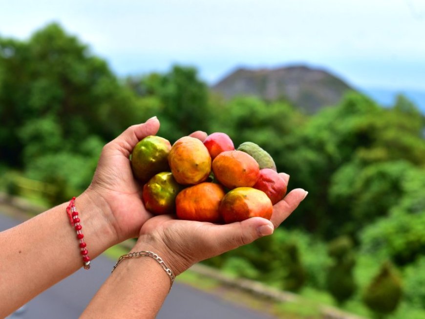 5 destinos para disfrutar este fin de semana en El Salvador