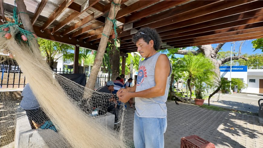Veda de camarón reduce ingresos de pescadores y comerciantes buscan alternativas